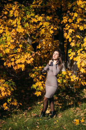 Beautiful happy smiling girl wearing long dress and autumn scarf standing in forest surrounded by yellow treesの写真素材
