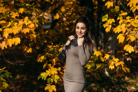 Beautiful happy smiling girl wearing long dress and autumn scarf standing in forest surrounded by yellow treesの写真素材