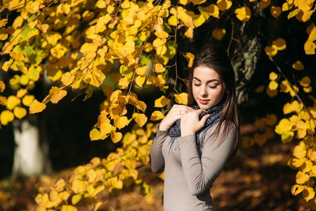 Young and pretty brunette girl in a dress and scarf stands near a beautiful big yellow treeの写真素材