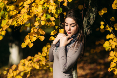 Young and pretty brunette girl in a dress and scarf stands near a beautiful big yellow treeの写真素材