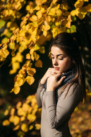 Young and pretty brunette girl in a dress and scarf stands near a beautiful big yellow treeの写真素材