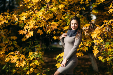 Beautiful happy smiling girl wearing long dress and autumn scarf standing in forest surrounded by yellow treesの写真素材