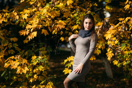 Beautiful happy smiling girl wearing long dress and autumn scarf standing in forest surrounded by yellow treesの写真素材