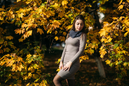 Beautiful happy smiling girl wearing long dress and autumn scarf standing in forest surrounded by yellow treesの写真素材