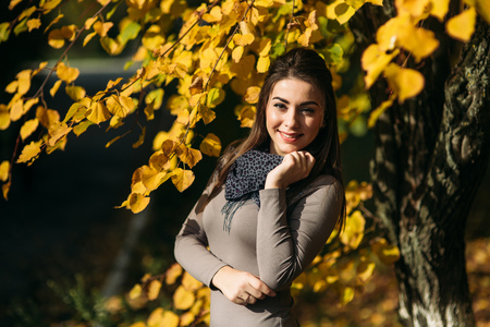 Young and pretty brunette girl in a dress and scarf stands near a beautiful big yellow treeの写真素材