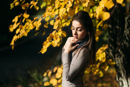 Young and pretty brunette girl in a dress and scarf stands near a beautiful big yellow treeの写真素材