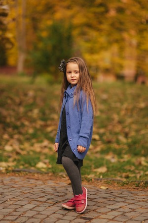 Portrait of little girl in the autumn park. Girl model poses to photographer. Happy childの写真素材