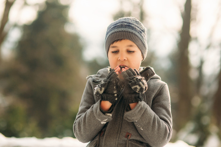 A little boy walks in the park in the winter weather, play snowballs and rejoiced. Waiting for Christmas moodの写真素材