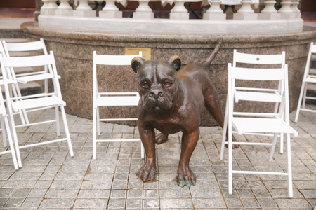 White chair on wedding ceremony. summer wedding decoration outsideの写真素材