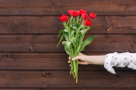 Wamans hand hold a red flowers on wooden background. Bouquet of tulipsの写真素材