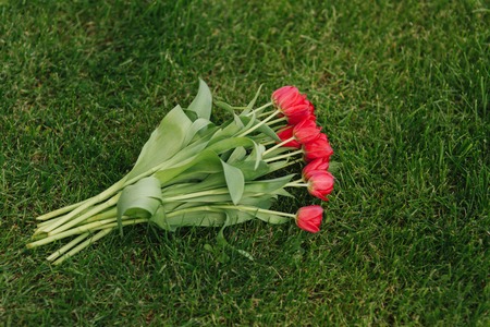Red tulips on grass. Bouquet of flowers on green backgroundの写真素材