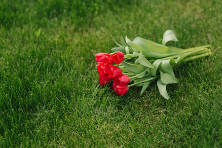 Red tulips on grass. Bouquet of flowers on green backgroundの写真素材