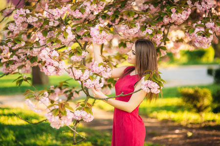 Portrait of beutiful girl in sakura tree. Sakura flowers surround the girl. Sakura branch by her faceの写真素材