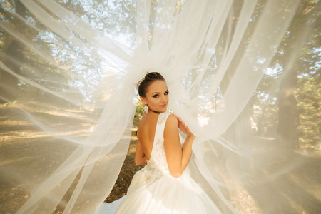 Woman in bridal veil. Beautiful female in wedding dressの写真素材