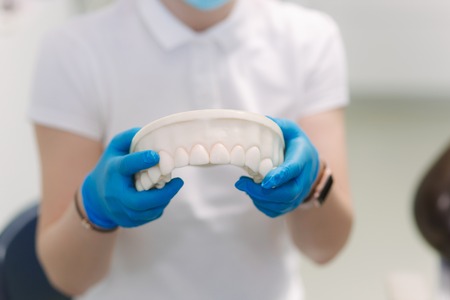 Dentist hold a model of jaw with teeth. White uniform and blue glovesの写真素材