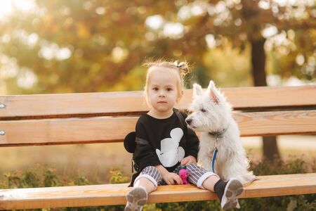 Happy little girl sit on the bech in the autumn park with her little white dog. Happy childhood. Autumn conceptの写真素材