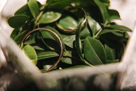 Elements of decor on the wedding ceremony. Close up of wedding ringsの写真素材