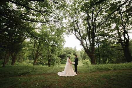Back view of groom and bride walking in the forest.の写真素材