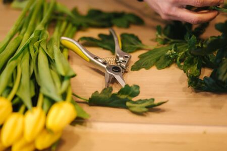 Working place of floristic. Yellow tulips lilac on wooden tableの写真素材