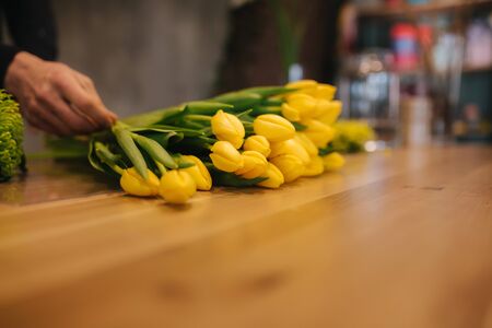 Man making flower bouquet. Spring yellow boquet with tulipsの写真素材