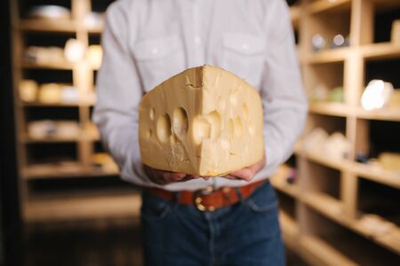Hansome man hold big slice of cheese maasdam in hand. Cheese with big holes. Background of shelves with cheeseの写真素材