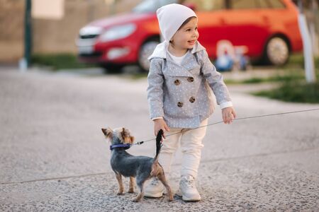 Cute little gilr play with little dor outside. Yorkshire terrer play and jump. Adorable gilr have fun with petの写真素材