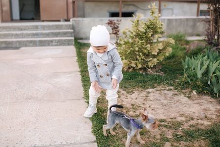 Cute little gilr in grey coat play with little dor outside. Yorkshire terrer play and jump. Adorable gilr have fun with pet.の写真素材