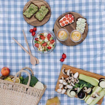 Top view of Picnic basket with healthy vegan sandwiches on blue checkered blanket in park. Fresh fruits, vegetables and orange juise. Vegan picnic conceptの写真素材