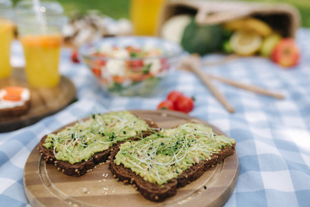Picnic basket with healthy vegan sandwiches on blue checkered blanket in park. Fresh fruits,...