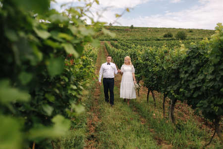 Groom and bride walking in vineyard in their wedding day. Blond hair woman in white dress hold wedding bouquet in handsの写真素材
