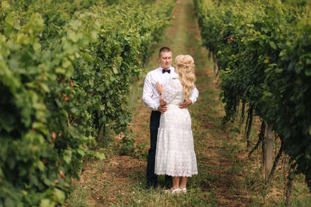 Groom and bride walking in vineyard in their wedding day. Blond hair woman in white dress hold wedding bouquet in handsの写真素材