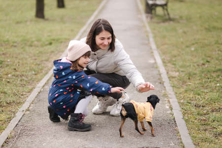 Beautiful young mom walk with daughter and little dog. Happy family walking outdoors with pet during quarantineの写真素材