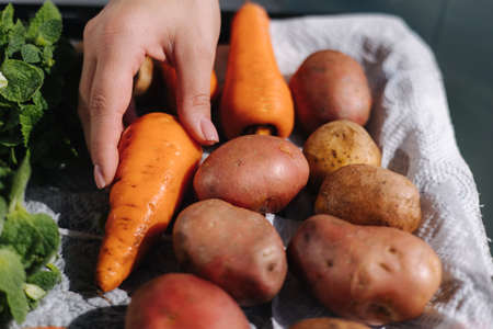 Womans hand take carrot from tray outdoorの写真素材