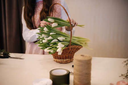 Middle selection of woman make spring bouquet. Female floris put bouquet of white tulips. Beautiful flower composition. Fresh tulips. Close-upの写真素材