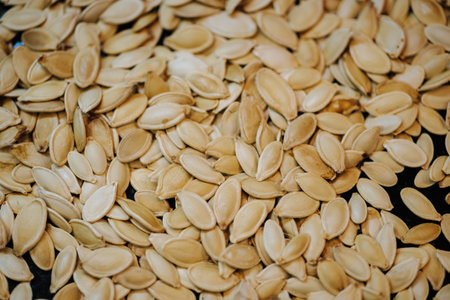 Scattered across the baking sheet roasted pumpkin seeds in shellの写真素材