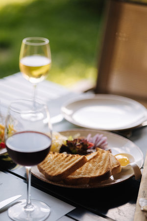 Beef tartar with grated butter and raw chicken yolk served with roasted bread. Glass of white and red wineの写真素材