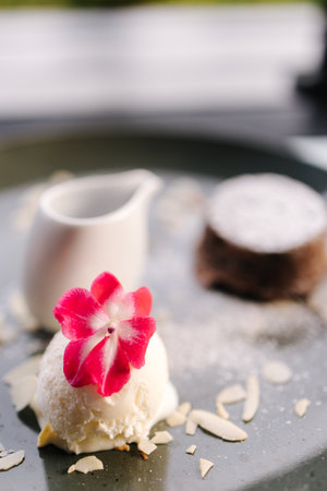 Chocolate fondant with scoop of ice cream, blackberry syrup and slices of almondの写真素材