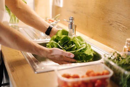 Man washing organic green salad Romano in kitchen. Lettuce leaves with water dropsの写真素材