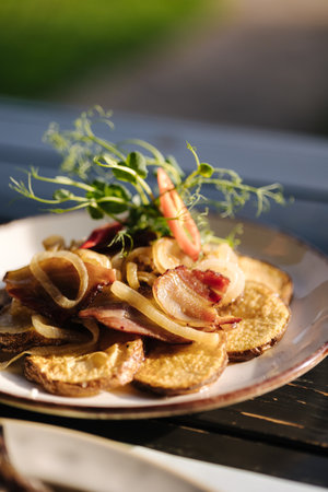 Fried ring potatoes with bacon in a plate outdoor. Summer terraceの写真素材