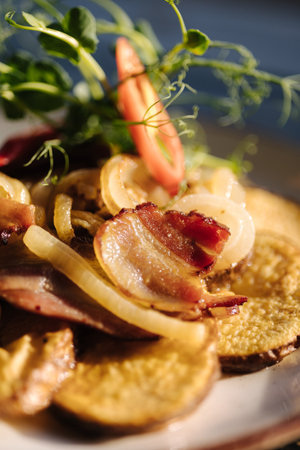 Macro photo of fried ring potatoes with bacon in a plate outdoor. Summer terraceの写真素材