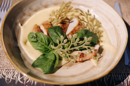 Plate with delicious dish in restaurant. Close-up of chicken fillet in cream sauceの写真素材