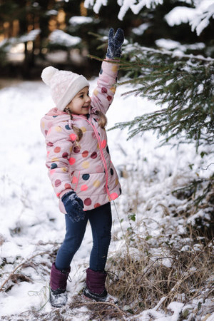 Little girl shake off the snow from the Christmas tree on herselfの写真素材