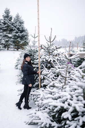 Portrait of elegant woman buys a Christmas tree. Woman in a black knited hat. Beautiful lady choose fir tree and measure using using a wooden ruletの写真素材