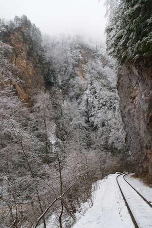 narrow-gauge の写真素材