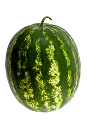 The big, ripe, striped water-melon on a white backgroundの写真素材