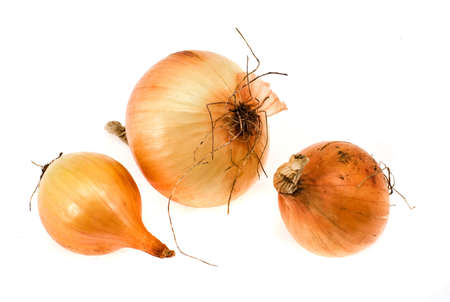 Onions in a golden peel on a white backgroundの写真素材