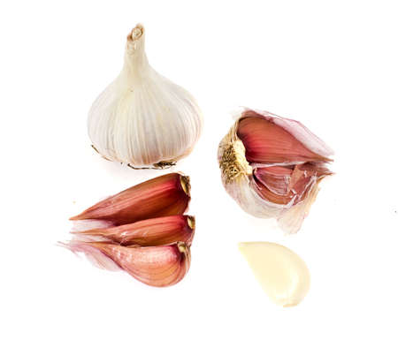 garlicの写真素材