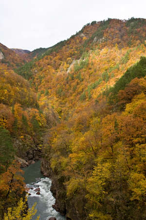 Granite canyon on the river White in an environment of autumn woodの写真素材