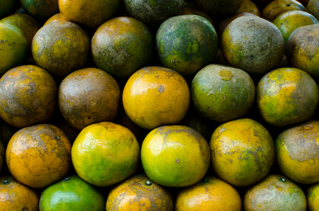pile of tangerines.の写真素材