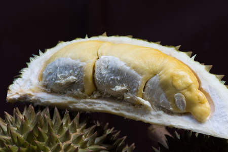 Fresh durian recenlty cut and ready for serving.の写真素材